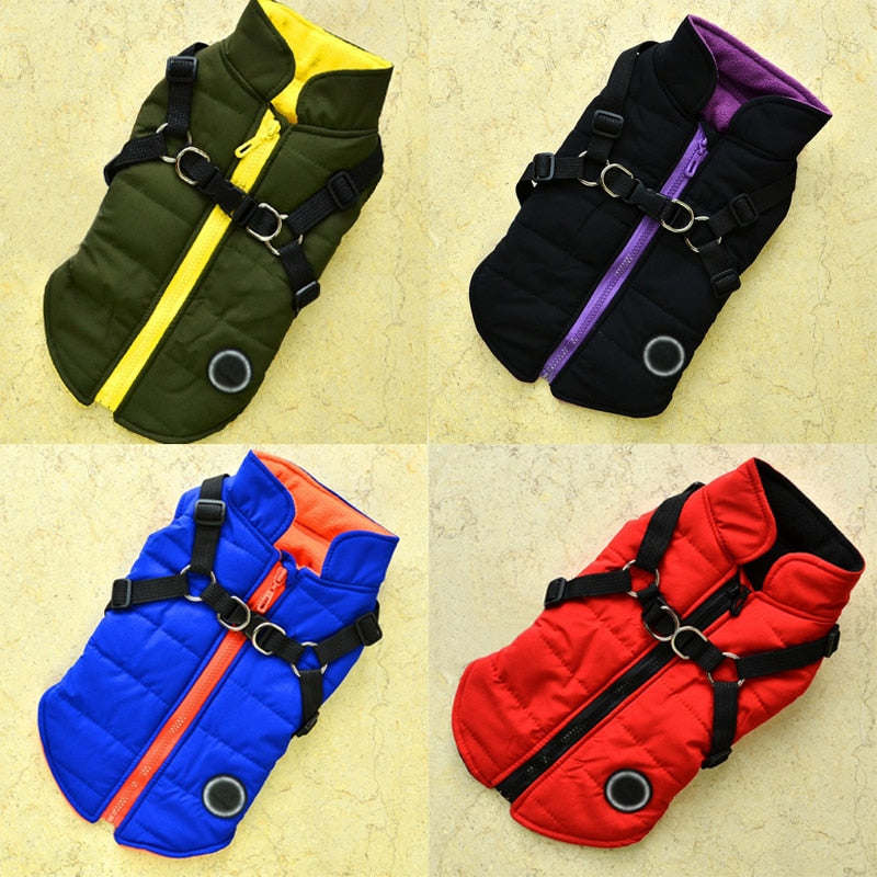 Waterproof Pet Coat With Harness