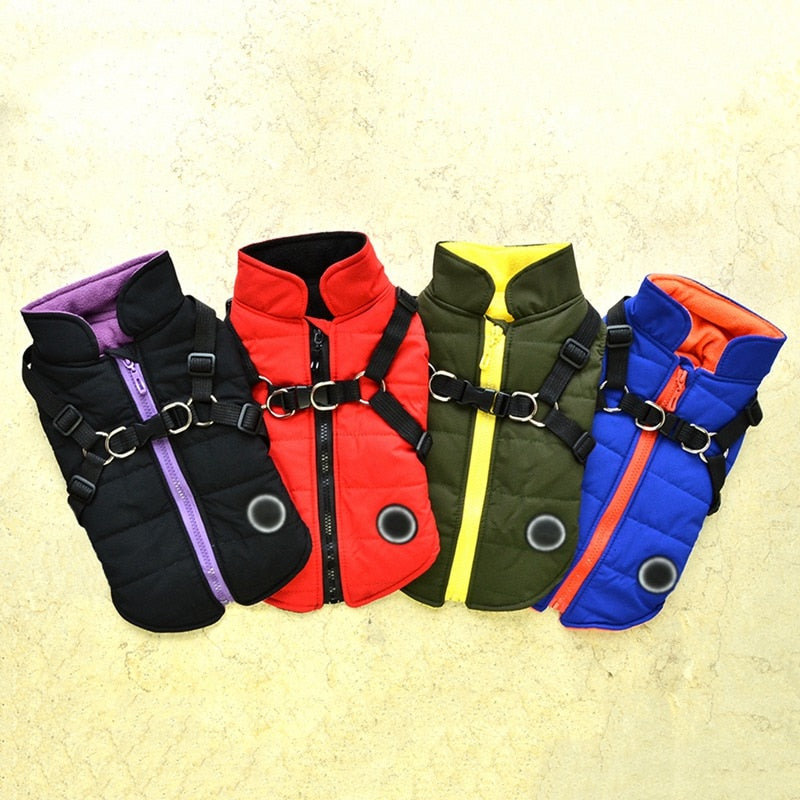 Waterproof Pet Coat With Harness